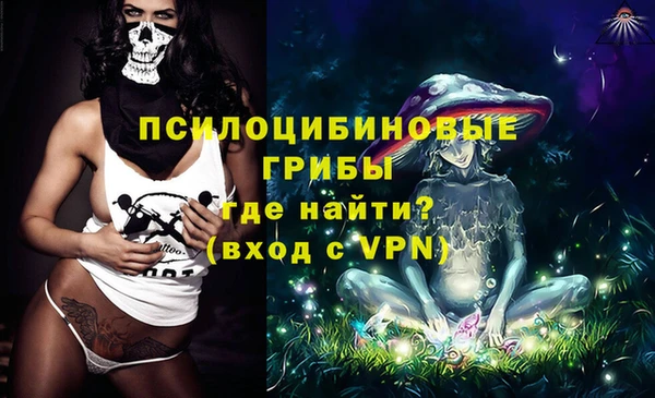 ПСИЛОЦИБИНОВЫЕ ГРИБЫ Струнино
