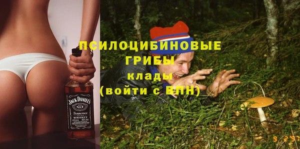 стафф Ступино