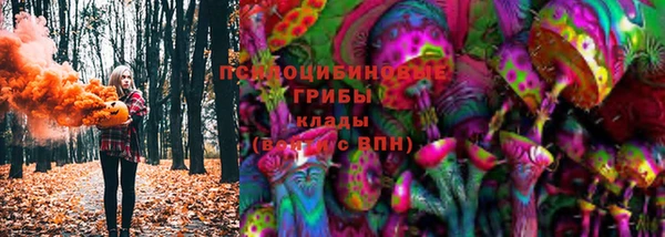 ПСИЛОЦИБИНОВЫЕ ГРИБЫ Струнино
