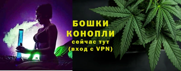 стафф Ступино